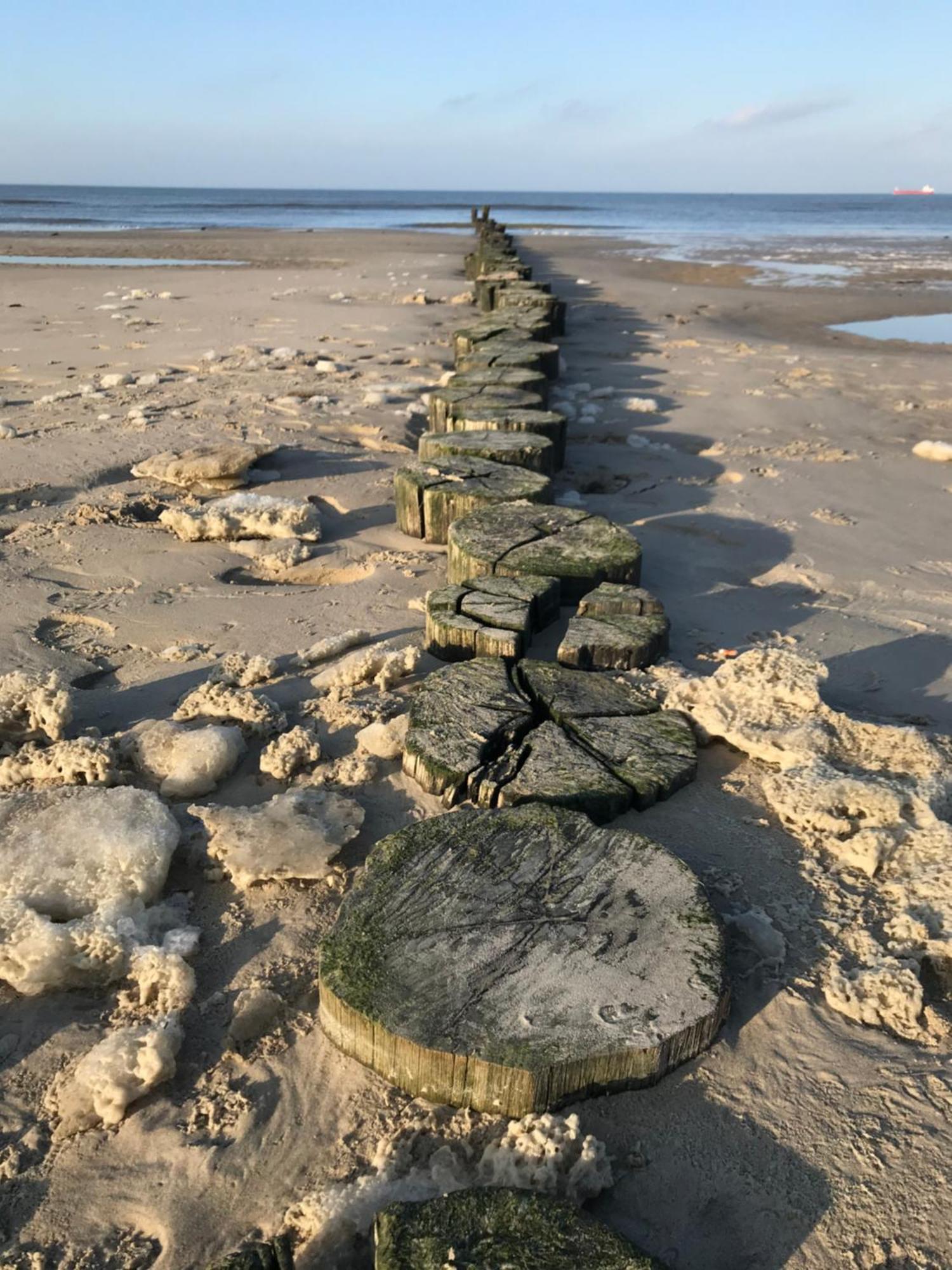 Eschen'S Allee Aurich Luaran gambar